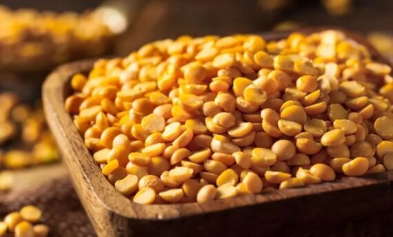 TUR DAL